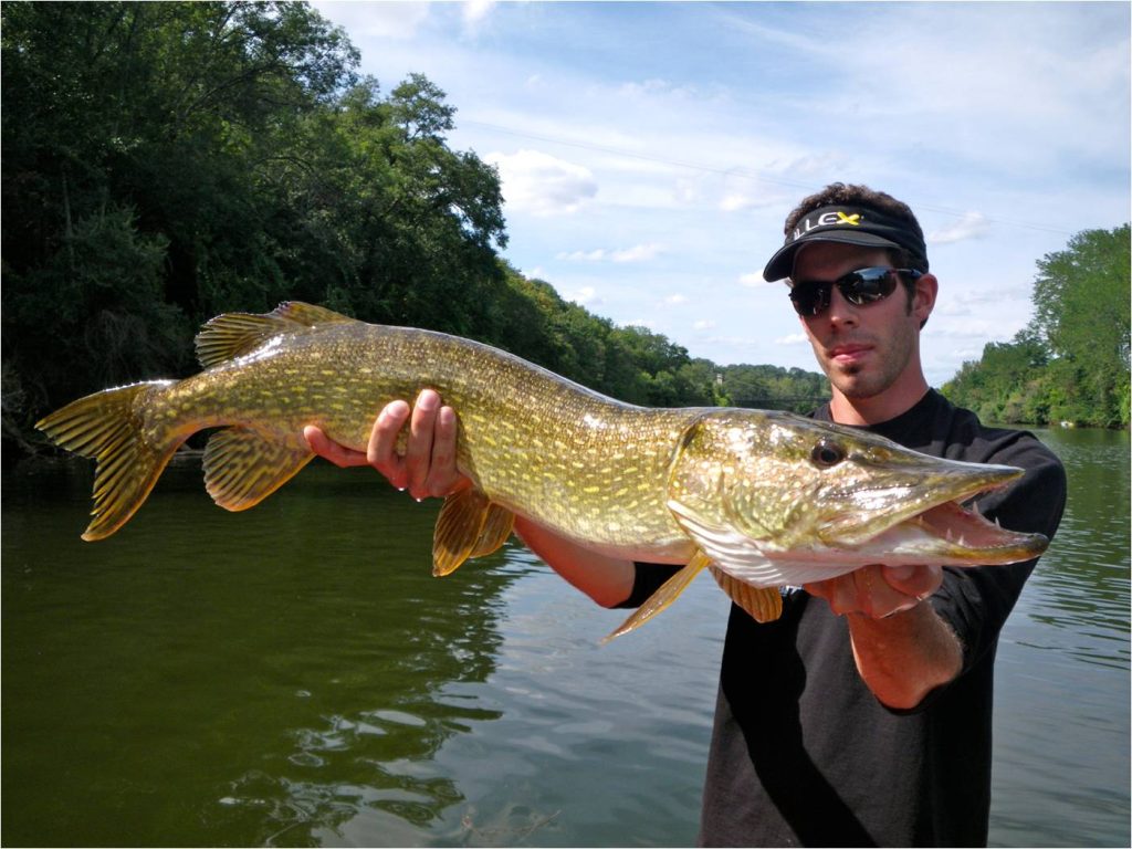 Brochet en Midi-Quercy