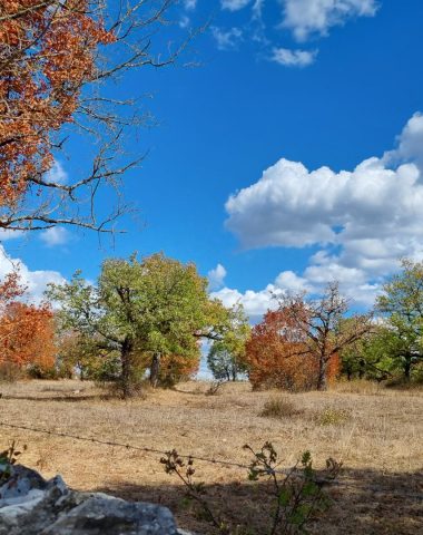 A l’automne