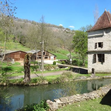 Circuits-courts bonjour : La ferme de la Vignasse