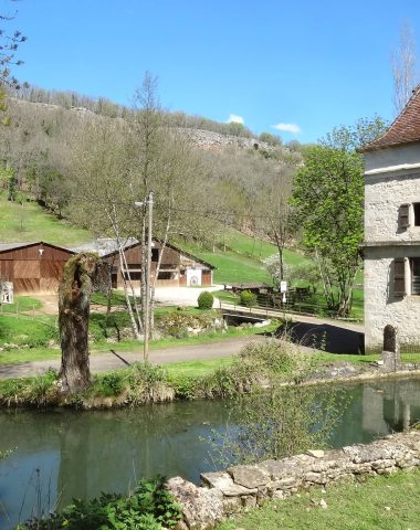 Circuits-courts bonjour : La ferme de la Vignasse