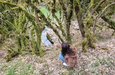 Une idée découverte en Midi-Quercy : Saint-Symphorien