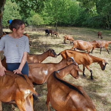Une idée gourmande en Midi-Quercy : La chèvre de Mathilde