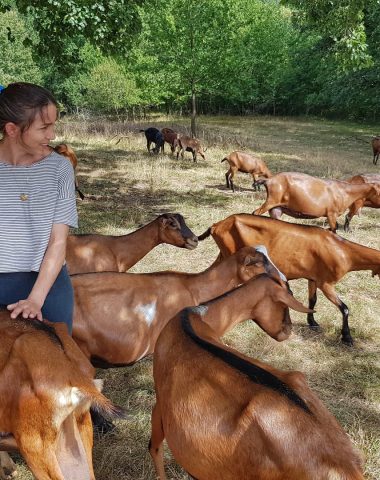 Une idée gourmande en Midi-Quercy : La chèvre de Mathilde