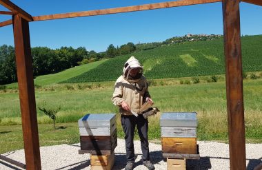Une idée gourmande en Midi-Quercy : Bee au top