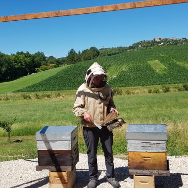 Une idée gourmande en Midi-Quercy : Bee au top